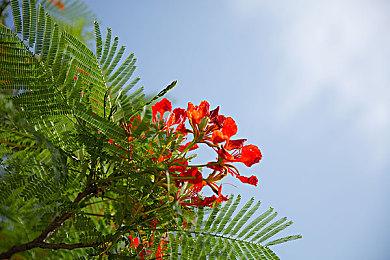 绅士向《Bunny Garden》登陆Switch 稍后登陆Steam